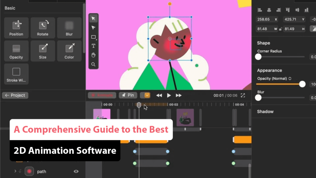 2D Animation Software

